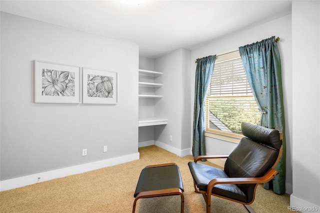 5523 Stonewall Pl, Boulder, CO 80303 - photo 22