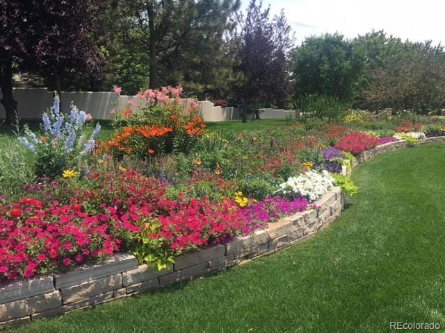 32 Silver Fox Cir, Greenwood Village, CO 80121 - view of grassy yard