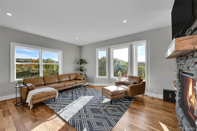 living room with a fireplace, light hardwood / wood-style flooring, and plenty of natural light