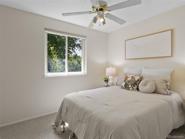 207 Short Pl, Louisville, CO 80027 - photo 16