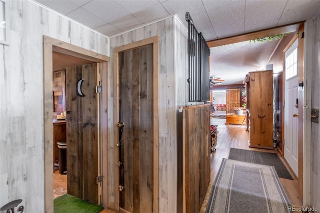 hall with wood walls and wood finished floors