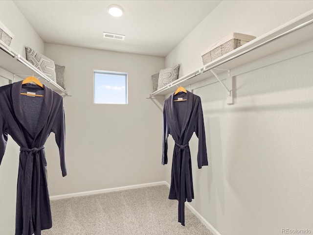 20802 E 66th Ave, Aurora, CO 80019 - walk in closet with carpet floors