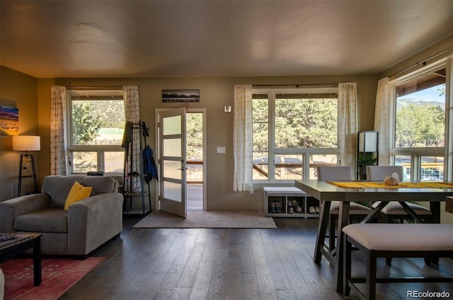 interior space featuring dark wood-type flooring