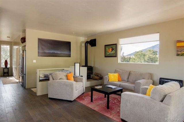 living room with dark wood-type flooring, a wood stove, and plenty of natural light