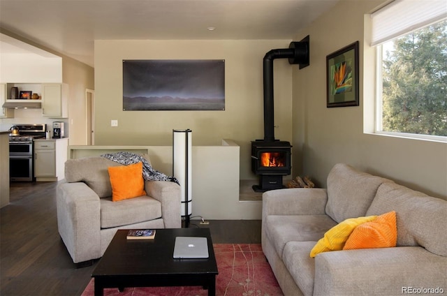 living room featuring a wood stove and dark hardwood / wood-style floors