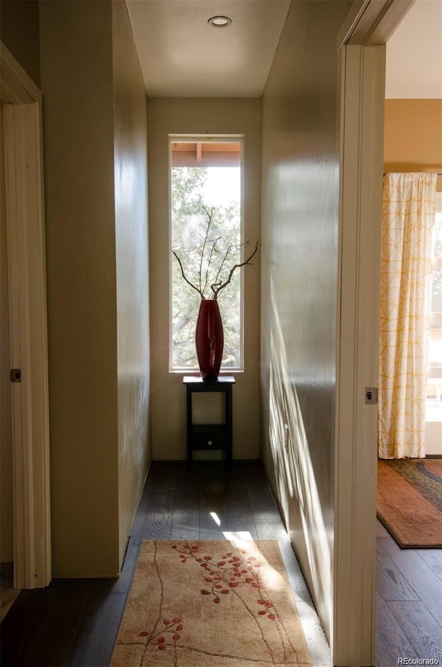 corridor featuring dark hardwood / wood-style floors and a healthy amount of sunlight