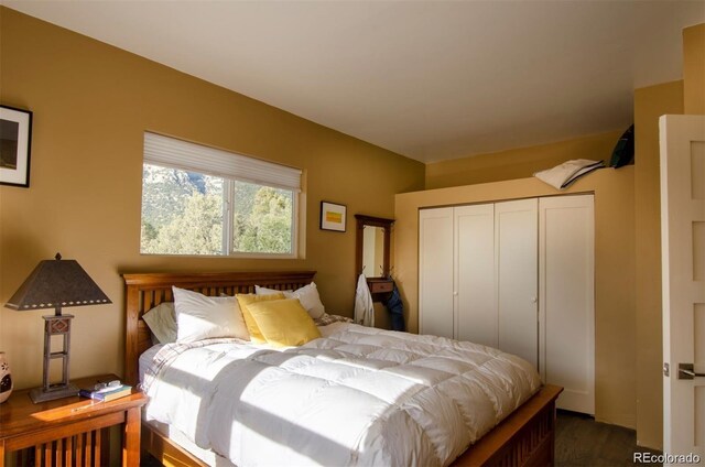 bedroom with a closet