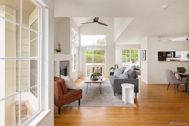 805 Summer Hawk Dr Unit 100, Longmont, CO 80504 - living room featuring wood finished floors, a ceiling fan, a tile fireplace, baseboards, and a high ceiling