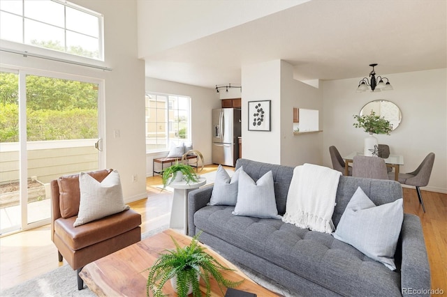 805 Summer Hawk Dr Unit 100, Longmont, CO 80504 - living room with light wood finished floors and a chandelier