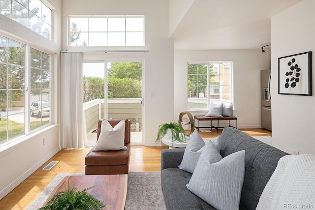 805 Summer Hawk Dr Unit 100, Longmont, CO 80504 - living area featuring light wood-type flooring, baseboards, and a towering ceiling
