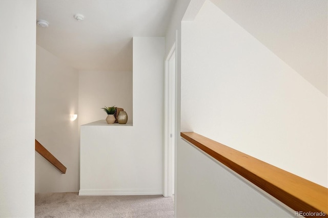 805 Summer Hawk Dr Unit 100, Longmont, CO 80504 - staircase featuring carpet