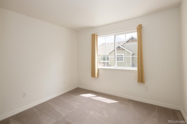 805 Summer Hawk Dr Unit 100, Longmont, CO 80504 - carpeted spare room with baseboards