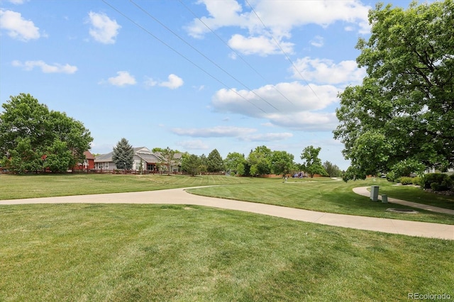 805 Summer Hawk Dr Unit 100, Longmont, CO 80504 - view of home's community featuring a lawn