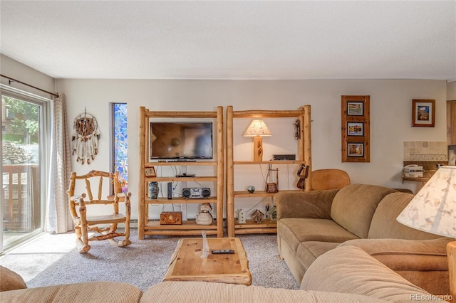 carpeted living room with a textured ceiling