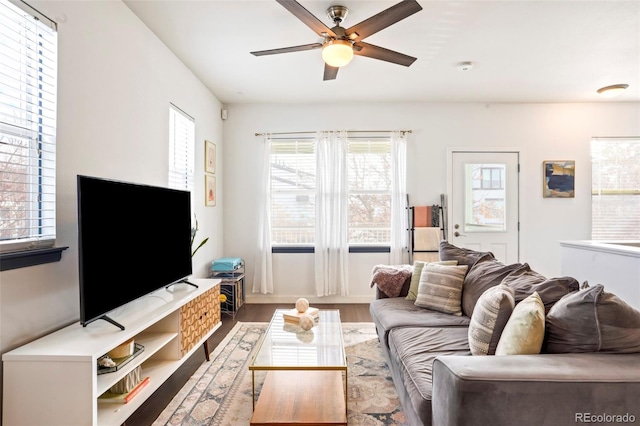 living area featuring a ceiling fan and wood finished floors