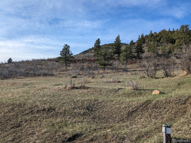 21814 Shady Ln, Idledale, CO 80453