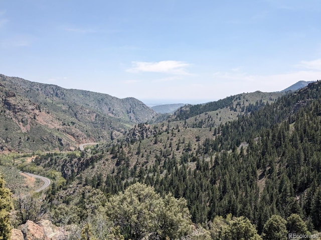 21814 Shady Ln, Idledale, CO 80453