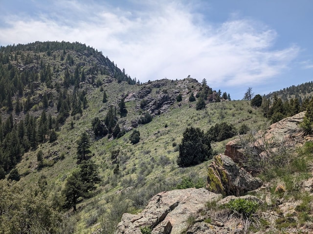 21814 Shady Ln, Idledale, CO 80453