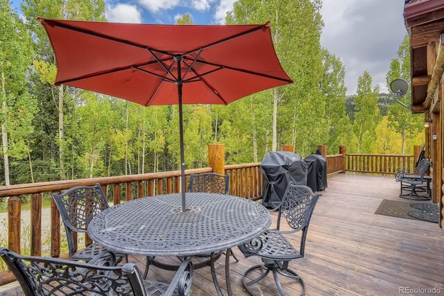881 Peterson Dr, Alma, CO 80420 - photo 10
