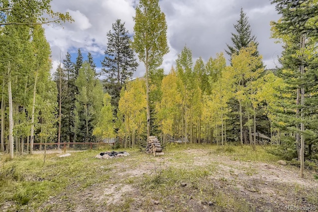 881 Peterson Dr, Alma, CO 80420 - photo 11