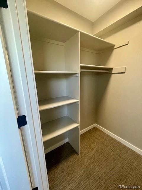 171 E 42nd St, Loveland, CO 80538 - photo 12