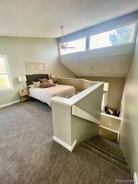 171 E 42nd St, Loveland, CO 80538 - photo 10
