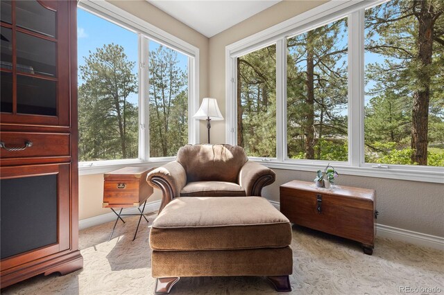 315 Prospect Dr, Castle Rock, CO 80108 - photo 25