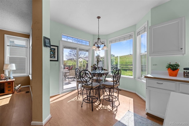 10519 Winterflower Way, Parker, CO 80134 - dining room featuring baseboards, light wood-type flooring, and plenty of natural light