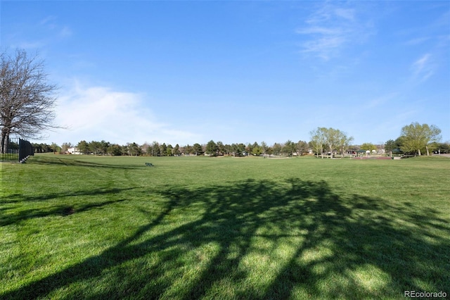 10519 Winterflower Way, Parker, CO 80134 - view of yard