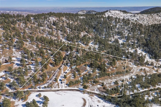 4398 Cameyo Rd, Indian Hills, CO 80454 - photo 46