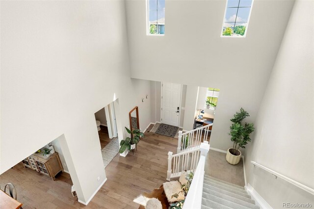 733 Gilpin Cir E, Erie, CO 80516 - photo 30