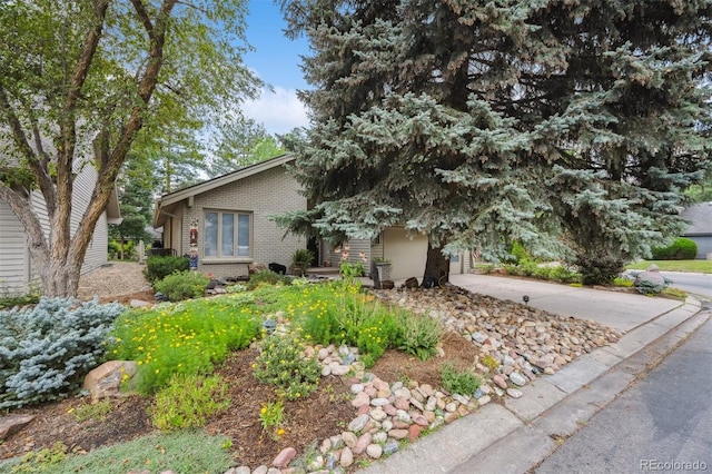 7100 Cedarwood Cir, Boulder, CO 80301 - photo 32