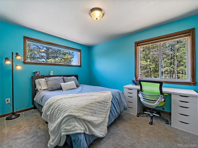 10852 Conifer Mountain Rd, Conifer, CO 80433 - bedroom with carpet flooring and baseboards