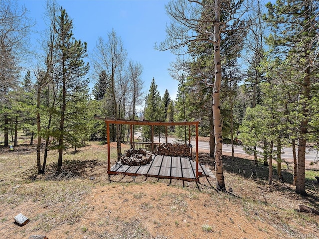 10852 Conifer Mountain Rd, Conifer, CO 80433 - view of yard
