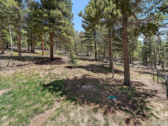 10852 Conifer Mountain Rd, Conifer, CO 80433 - view of yard