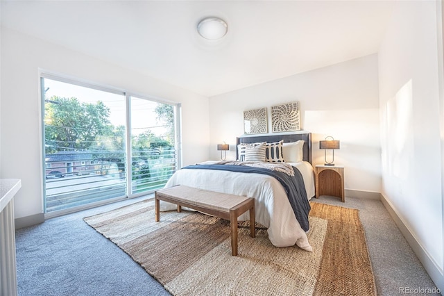 822 Fairfax St, Denver, CO 80220 - bedroom featuring carpet and access to exterior
