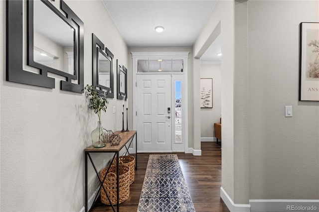 foyer entrance featuring dark wood-type flooring