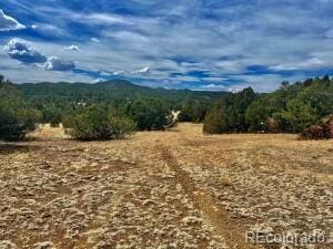 29870 County Rd 16, Trinidad CO, 81082 land for sale