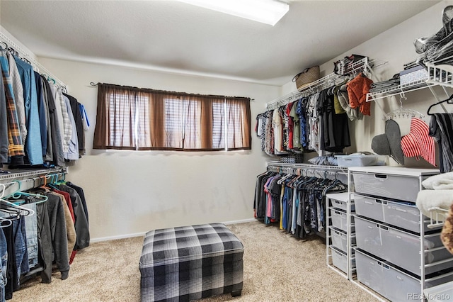 10533 Redcone Way, Highlands Ranch, CO 80130 - spacious closet with carpet floors