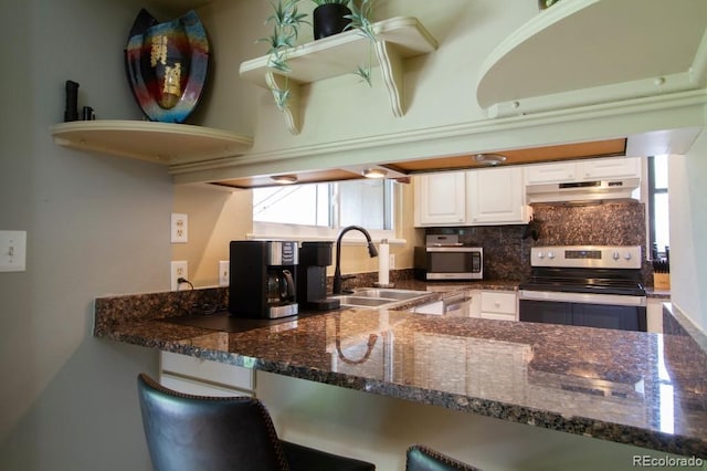 10652 W Florida Ave Unit D, Lakewood, CO 80232 - kitchen featuring appliances with stainless steel finishes, under cabinet range hood, dark stone countertops, and decorative backsplash
