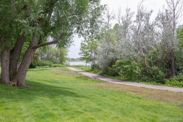 10652 W Florida Ave Unit D, Lakewood, CO 80232 - view of community featuring a lawn and a water view