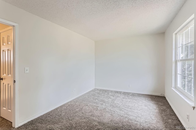 spare room with carpet and a textured ceiling