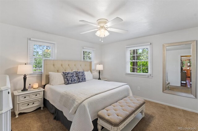 1260 Timber Vallety, Colorado Springs, CO 80919 - photo 18