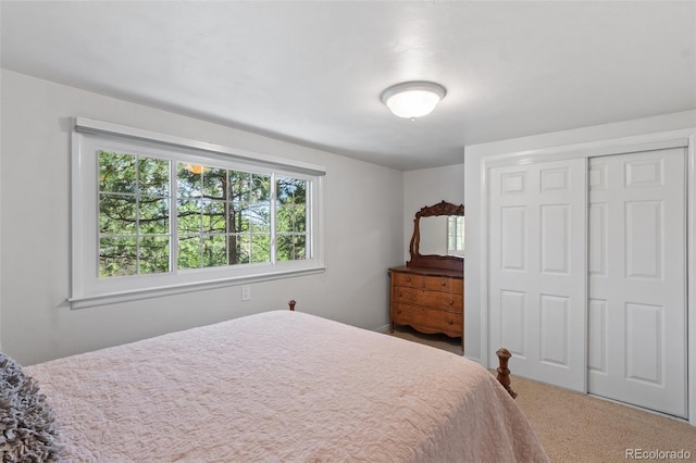 1260 Timber Vallety, Colorado Springs, CO 80919 - photo 25