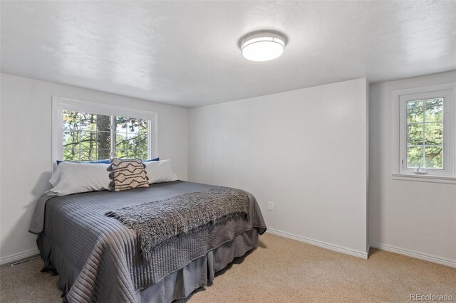 1260 Timber Vallety, Colorado Springs, CO 80919 - photo 29