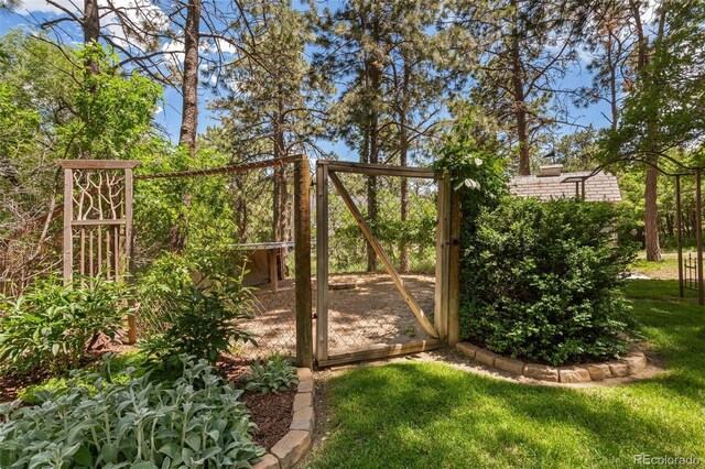 1260 Timber Vallety, Colorado Springs, CO 80919 - photo 44