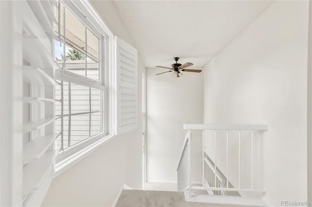 7900 W Layton Ave Unit 849, Littleton, CO 80123 - photo 16
