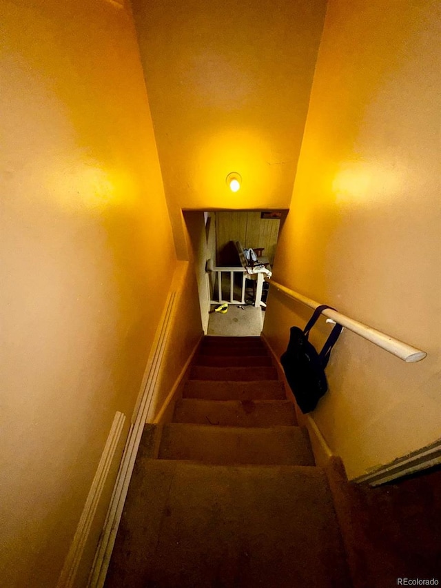1731 E 25th Ave, Denver, CO 80205 - staircase with carpet floors