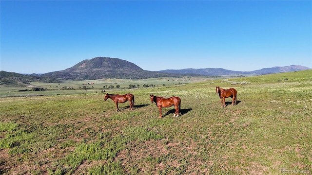 26000 Wheeler Creek Ln, Steamboat Springs, CO 80487 - mountain view featuring agricultural land and rural landscape