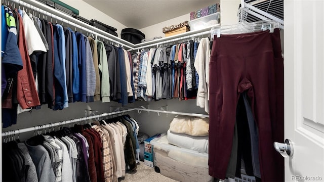 spacious closet with carpet floors